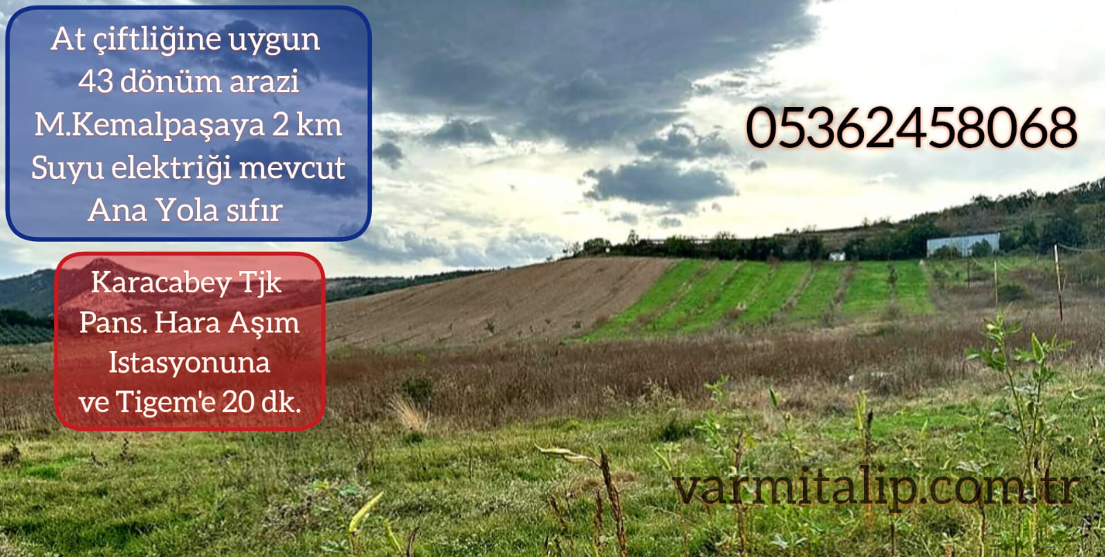 Ana yola sıfır Elektrik Su var 43 dönüm ilçe Mrkz.2 km.At çiftliğine uygun Arazi TJK KARACABEY e 20 dk.